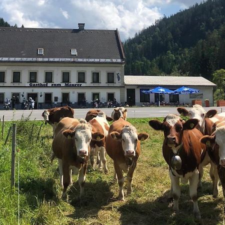 Gasthof Zum Maurer Mariazell Exterior photo